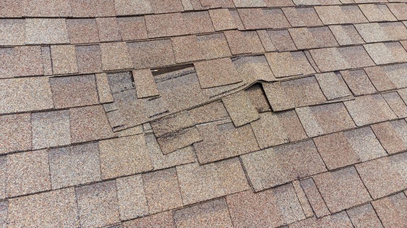 Replacing Damaged Shingles
