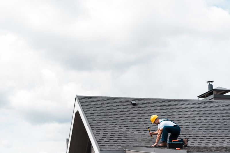 Professional Roofing Service